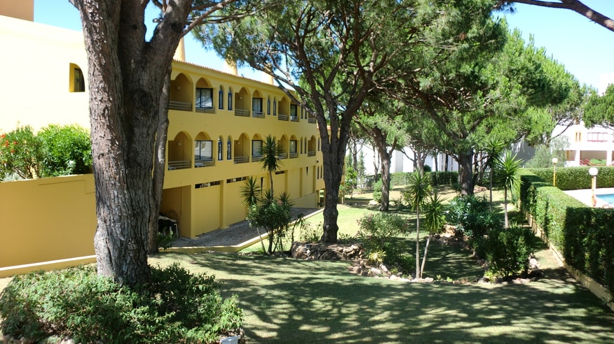 Image 11